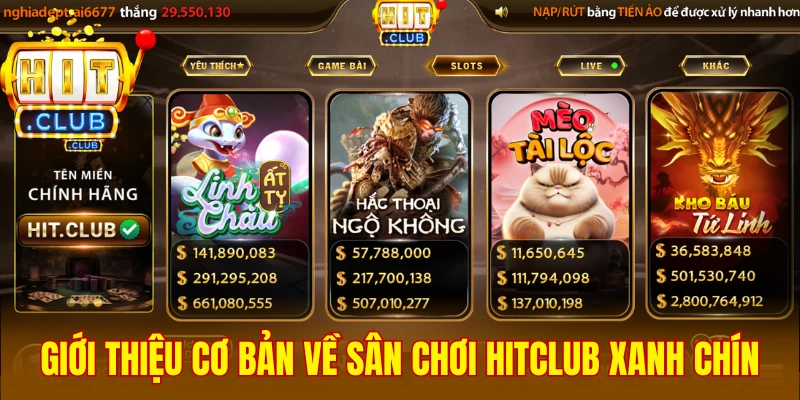 Điểm nhanh thông tin giới thiệu Hitclub