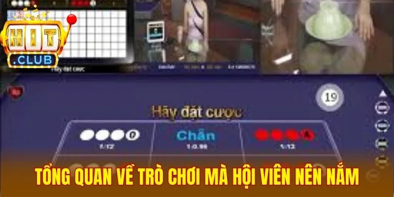 Tổng quan về trò chơi mà hội viên nên nắm